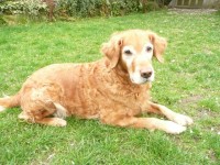 Gennas Geburtstag 11 Jahre Jung